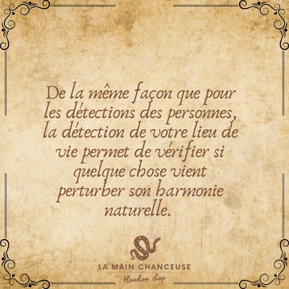 Détection maison ( esprits, entités, energies négatives…)