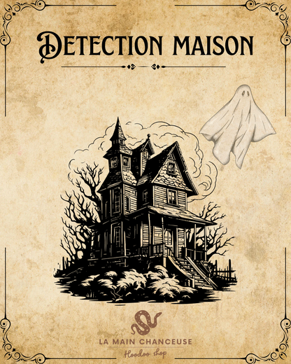 Détection maison ( esprits, entités, energies négatives…)