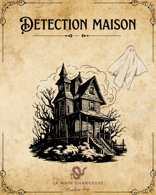 Détection maison ( esprits, entités, energies négatives…)